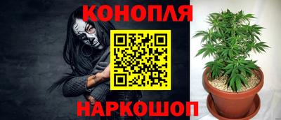 тгк Славгород